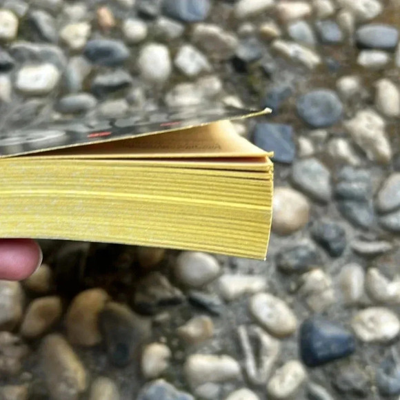 Vintage JULIA by Peter Straub Horror Ghost Paperback Book Novel 1975 - Picture 8 of 8